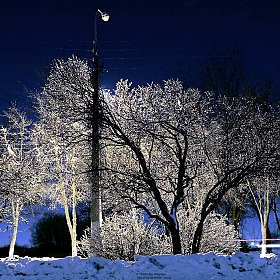 фотограф Владислав Рогалев. Фотография "морозный вечер на городской окраине"