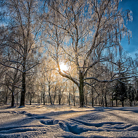 фотограф Александр Есликов. Фотография "зимний  день"