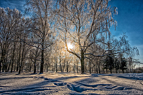 зимний  день | Фотограф Александр Есликов | foto.by фото.бай