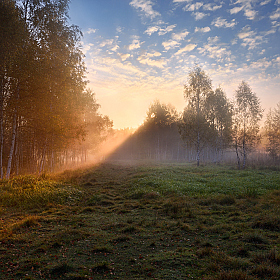 фотограф Виталий Полуэктов. Фотография "осеннее утро"