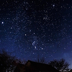 Под созвездием Ориона | Фотограф Юлия Войнич | foto.by фото.бай