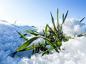Добрая зима | Фотограф Юлия Сиротко | foto.by фото.бай