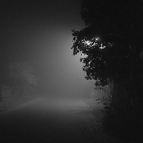 фотограф Саша Старовойтов. Фотография "Туманный свет"