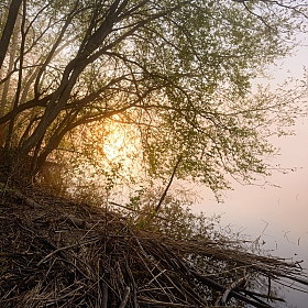фотограф Volha Ahranovich. Фотография "Туман у озера"