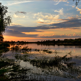 фотограф Евгений Ковальчук. Фотография "Травы и воды"