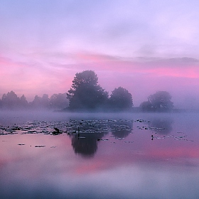 Холодный восход | Фотограф Руслан Авдевич | foto.by фото.бай