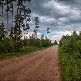 После летнего дождя | Фотограф Сергей Шабуневич | foto.by фото.бай