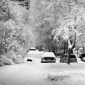 Зима в городе | Фотограф Лариса Пашкевич | foto.by фото.бай