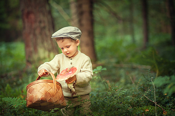 Фотограф Светлана Лютько, фотография добавлена 08.09.2016