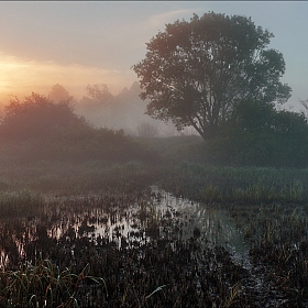 Весенний рассвет на реке | Фотограф Юрий Купреев | foto.by фото.бай