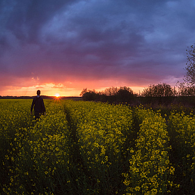 Провожая закат | Фотограф Дмитрий Захаров | foto.by фото.бай