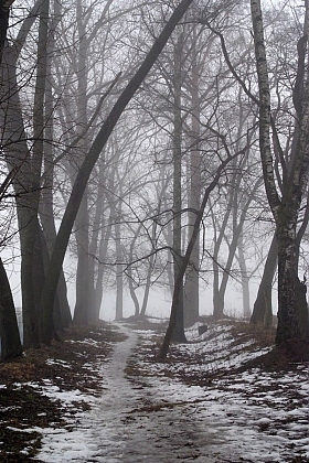 туман | Фотограф василий некрашевич | foto.by фото.бай