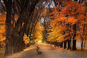 Осенью | Фотограф Валерий Козуб | foto.by фото.бай