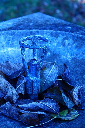 In blue | Фотограф Александра Ветер | foto.by фото.бай