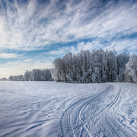 фотограф Александр Гуриков. Фотография "Зимнее утро"