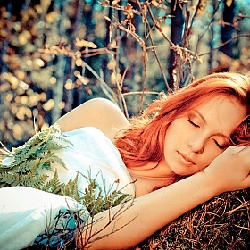 фотограф Любовь Чистая. Фотография "Спящая красавица"