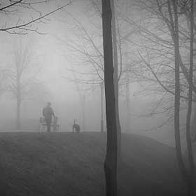 фотограф Андрей Бубнович. Фотография "Прогулка в тумане"