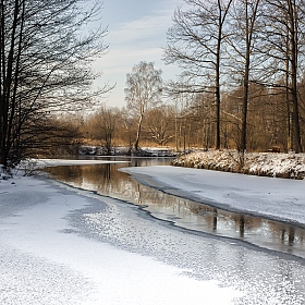 фотограф Дмитрий Голуб. Фотография "Начало зимы"