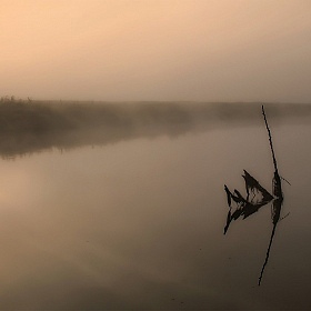 Отражение утра | Фотограф Сергей Шабуневич | foto.by фото.бай