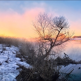 Конец зимы | Фотограф Сергей Шабуневич | foto.by фото.бай