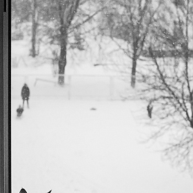 фотограф Дмитрий Расанец. Фотография "Снег за окном"