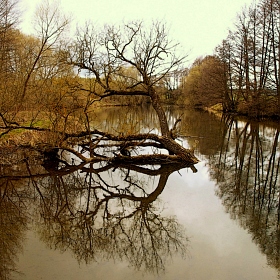 фотограф Игорь Сафонов. Фотография "на реке"