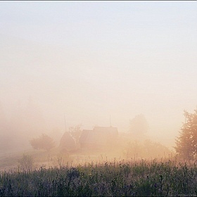 / Мне снилось лето / | Фотограф Влад Соколовский | foto.by фото.бай