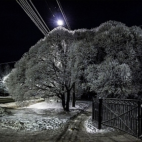 фотограф Константин Konstanto. Фотография "Зима.Снег.Мороз.Красота."