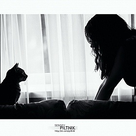 фотограф Сергей Пилтник. Фотография "Cats"