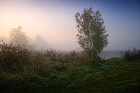 Утро | Фотограф Сергей Шабуневич | foto.by фото.бай