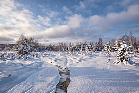 зимний день | Фотограф Виталий Полуэктов | foto.by фото.бай