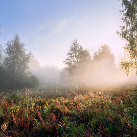 фотограф Виталий Полуэктов. Фотография "туманное утро сентября"