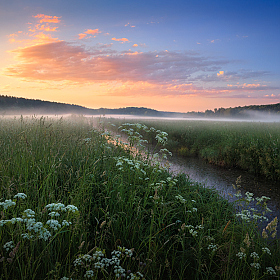 Рассвет в июне | Фотограф Сергей Шабуневич | foto.by фото.бай