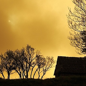 графичный пейзаж в золотых тонах | Фотограф Ольга Коваленкова | foto.by фото.бай