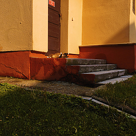 Белые носочки | Фотограф Елизавета Семашко | foto.by фото.бай