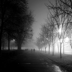 Ночная прогулка | Фотограф Иван Виткоин | foto.by фото.бай