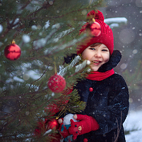 фотограф Анна Балабан. Фотография "Зима"