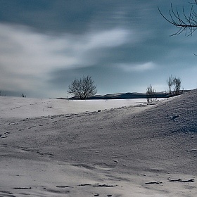 Безмолвие. | Фотограф Sergey Kolachev | foto.by фото.бай