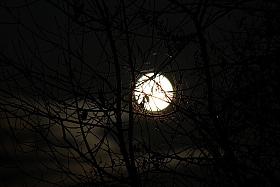 Ночное солнце. | Фотограф Николай Михайлов | foto.by фото.бай