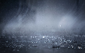 Симфония дождя | Фотограф Наталья Прядко | foto.by фото.бай