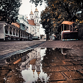 фотограф Павел Помолейко. Фотография "После дождя"