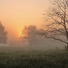 Туманное утро | Фотограф Павел Нагин | foto.by фото.бай