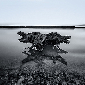 фотограф Стас Аврамчик. Фотография "В тишине озерной"