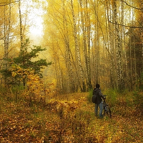 погружение в осень | Фотограф Сергей Шляга | foto.by фото.бай