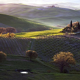 фотограф Danny Vangenechten. Фотография "Tuscan Morning"