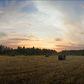 фотограф Олег Фролов. Фотография "Вечер в поле"