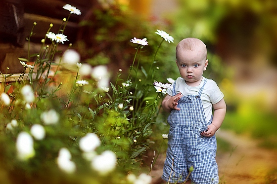 Фотограф Юлия Горбачева, фотография добавлена 29.06.2015
