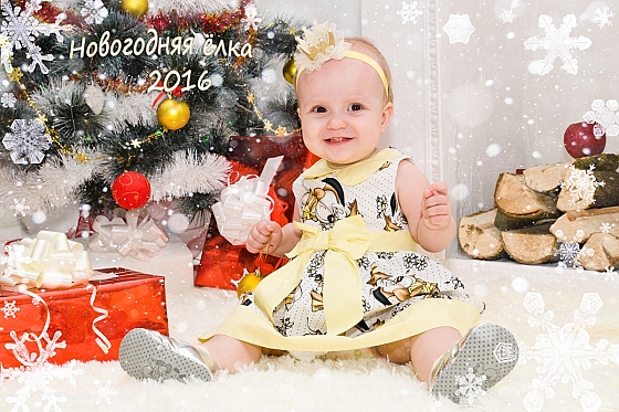 Фотограф Светлана Легенькая, фотография добавлена 16.01.2016