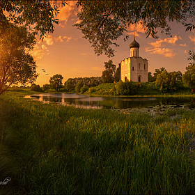 фотограф Алексей Богорянов. Фотография "Церковь Покрова на Нерли."