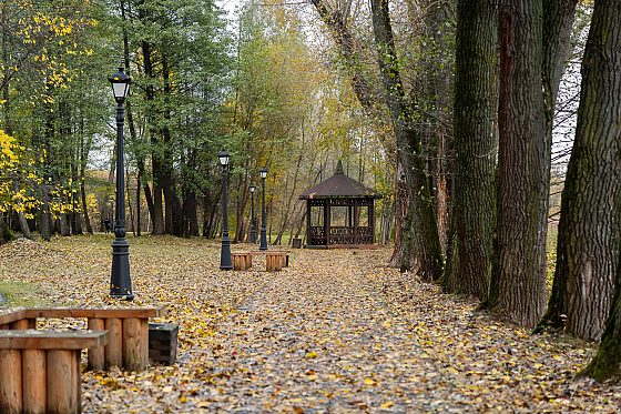 Фотограф Александр Тарасевич, фотография добавлена 29.10.2025